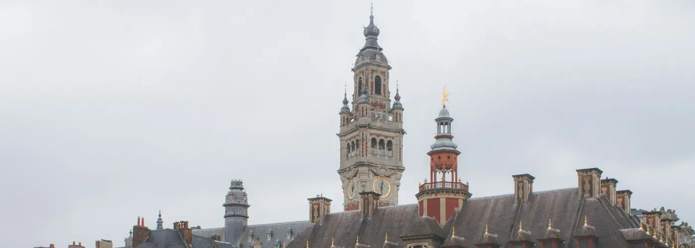 Banniere Vue Lille